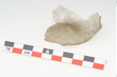 Foto von Glasgefäß (NHMW-PRAE-002367)